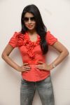 Tamil Actress Shriya Saran Stills 8216