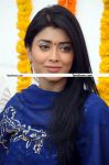 Shriya New Pictures 7