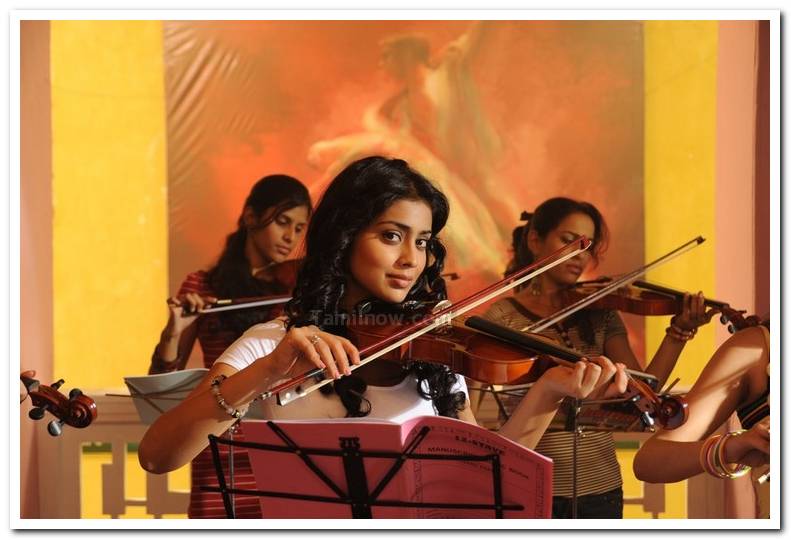 Shriya Photo 13