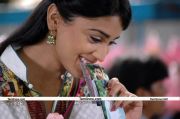 Shriya Saran New Photo5