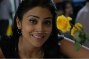 Shriya Saran Stills 41