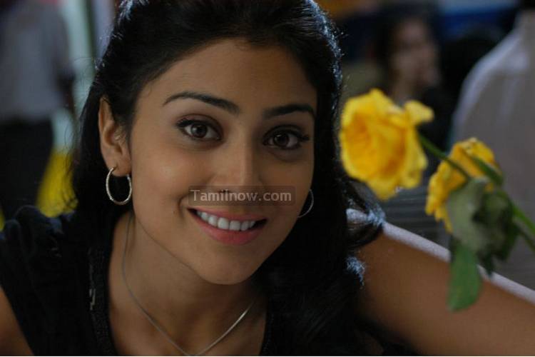 Shriya Saran Stills 41