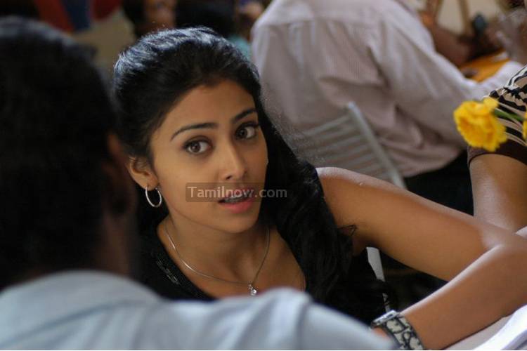 Shriya Saran Stills 42