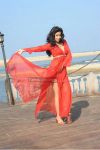 Shriya Saran Stills 47