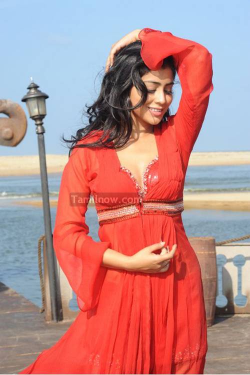 Shriya Saran Stills 49