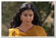 Shriya Still 18