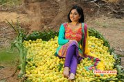 Srushti Dange New Gallery 927