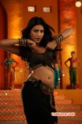 2016 Galleries Movie Actress Shruthi Haasan 799