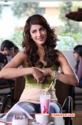 Heroine Shruthi Haasan Recent Image 1565