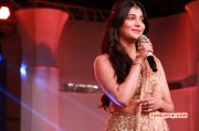 Recent Galleries Shruthi Haasan Actress 1686