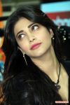 Shruthi Haasan At Ccl 4 Photos 3 943