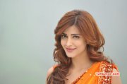 Shruthi Haasan Tamil Actress Recent Galleries 4137