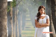 Shruthi Haasan Tamil Movie Actress 2015 Stills 6612