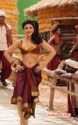 Shruthihaasan Hot In Selvandhan Actress Pic 220