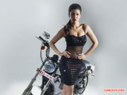 Tamil Actress Shruthi Haasan 5151