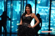 Tamil Heroine Shruthi Haasan Latest Galleries 9272