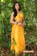 Tamil Heroine Shruthi Haasan Latest Images 4183