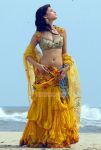 Shruthi Hassan 2196