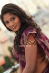 Shruthi Photos 5671