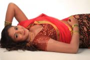 Tamil Actress Shruthi 272