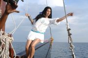 Actress Shruthi Haasan Photos 211
