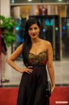 Actress Shruti Haasan 3833