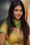 Actress Shruti Haasan 5376
