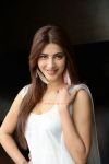 Actress Shruti Haasan Photos 4891