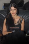 Actress Sruthi Hassan Still 685