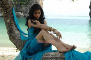 Shruthi Haasan Still 287