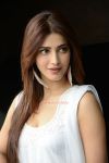 Shruti Haasan 1576