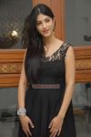 Sruthi Hassan Picture 757