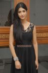 Tamil Actress Sruthi Hassan Latest Photo 571