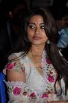 Actress Sneha 687