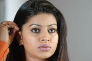 Actress Sneha Picture 732