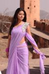 Sneha 347