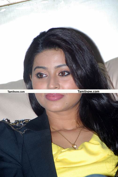 Sneha New Pictures 8