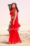 Tamil Actress Sneha 9982
