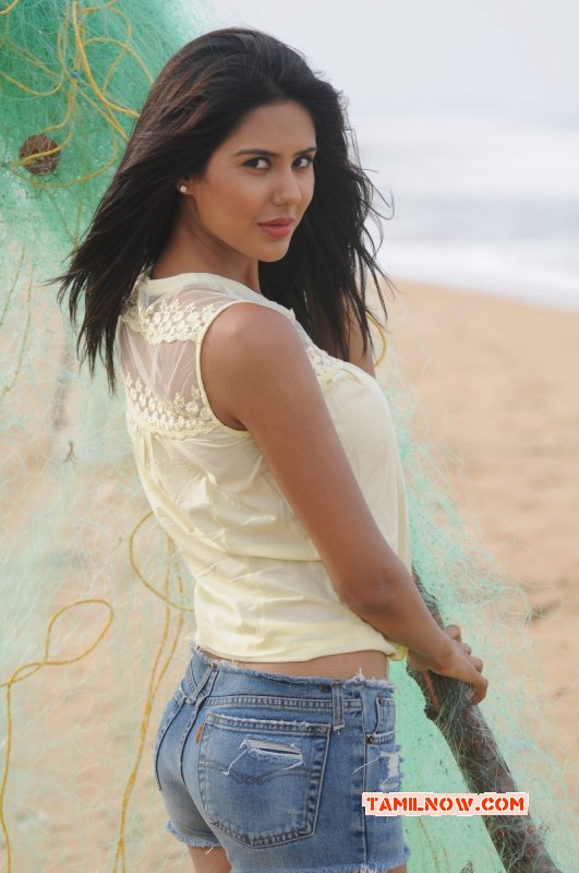 Sonam Bajwa Film Actress Latest Gallery 3209