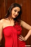 Sonia Agarwal 8204