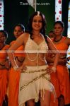 Sonia Agarwal Photos 1