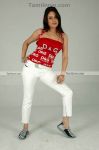 Sonia Agarwal Photoshoot Photo 12