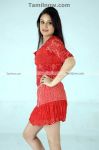 Sonia Agarwal Photoshoot Photo 26