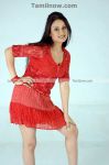 Sonia Agarwal Photoshoot Photo 27