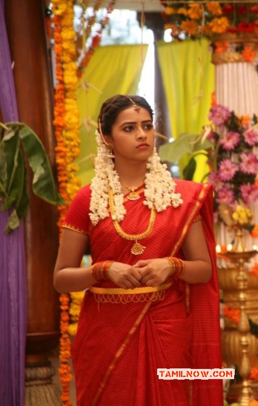 New Galleries Movie Actress Sri Divya 559