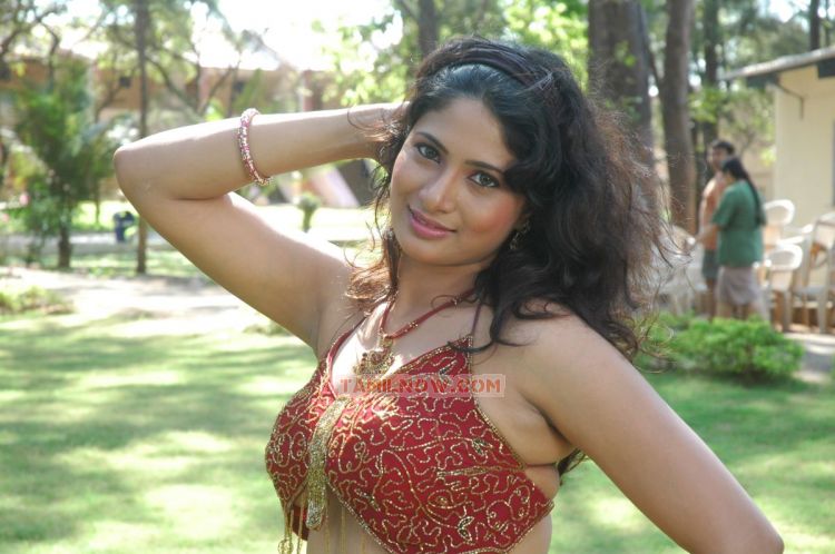 Tamil Actress Srija Stills 3091