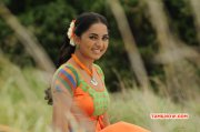 New Gallery Srushti Dange Cinema Actress 9021