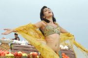 Sruthi Hassan 3084