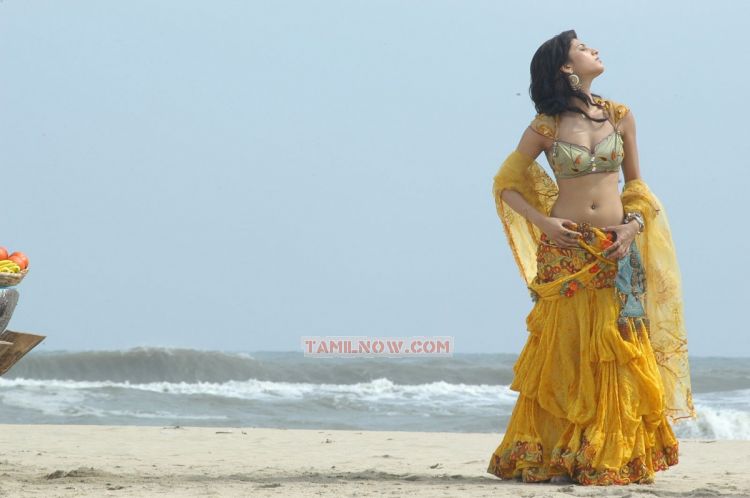 Sruthi Hassan 7572