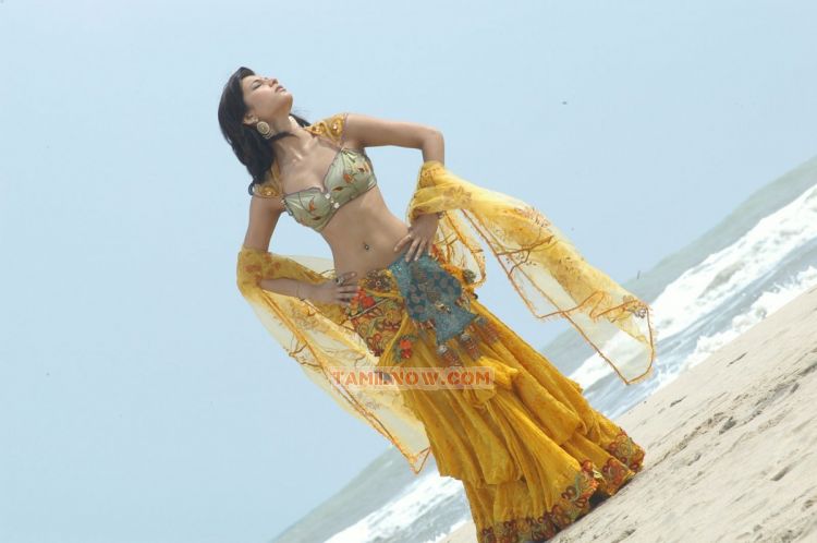 Sruthi Hassan 7586